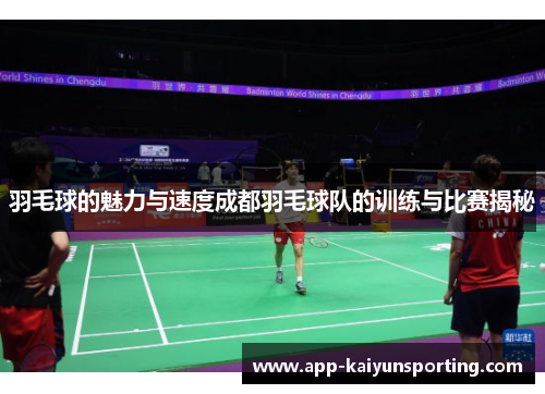 羽毛球的魅力与速度成都羽毛球队的训练与比赛揭秘