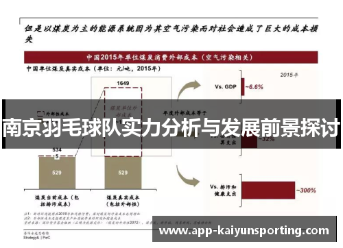 南京羽毛球队实力分析与发展前景探讨